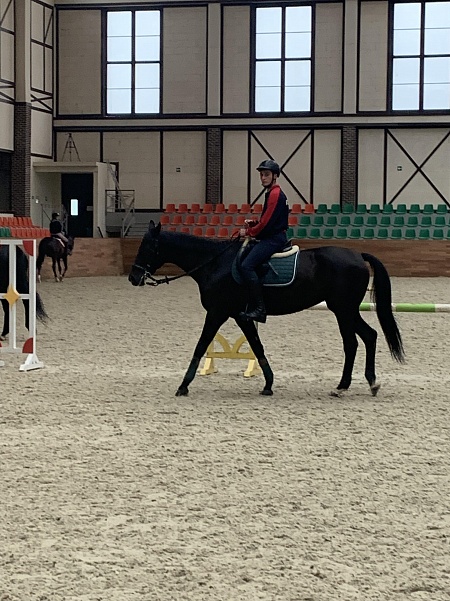 The second stage of the «Horsetimes equestrian school» project Tobolsk 2019 has started