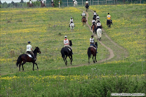 Черкасова стала 43-й на чемпионате мира по дистанционным конным пробегам