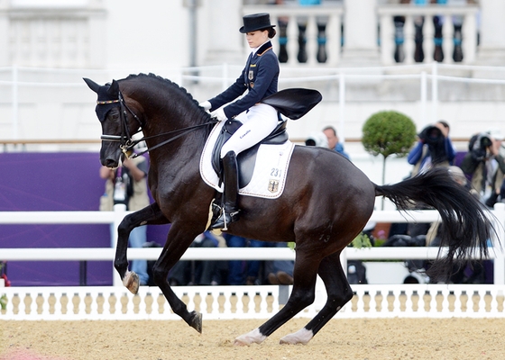 Олимпийская лошадь Десперадос снята с соревнований в Германии
