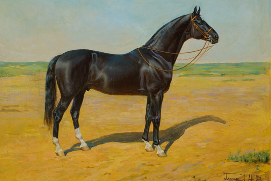 Абсент – гордость Советского конного спорта