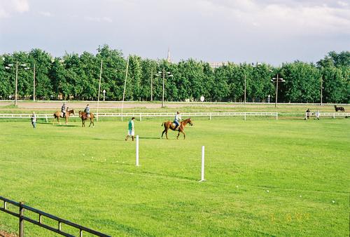 Открытый чемпионат России по конному поло прошел в Москве 