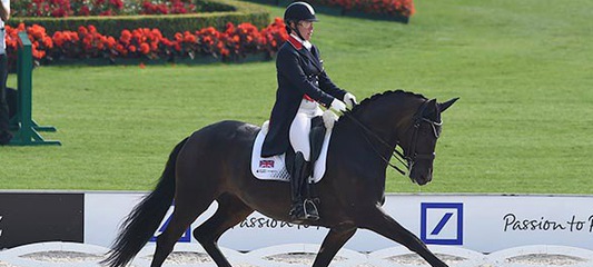 Олимпийская лошадь Аттерупгаардс Ортилия вернулась к тренировкам