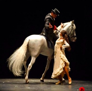 В Петербурге покажут конный балет 