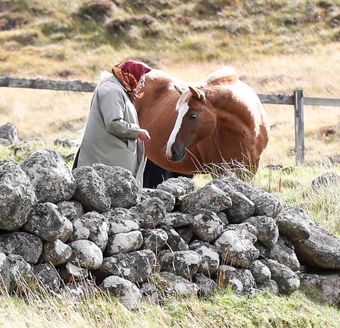 В свои 92 Елизавета II путешествует и кормит лошадей с рук