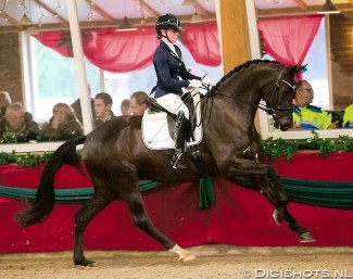 Шарлотта Дюжарден приобрела новую молодую лошадь 