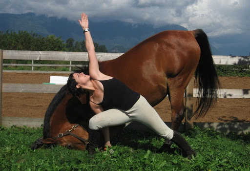 Horse abilities, or how an arab steed learned yoga