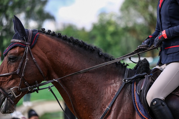 Утверждены изменения в правила вида спорта «конный спорт»
