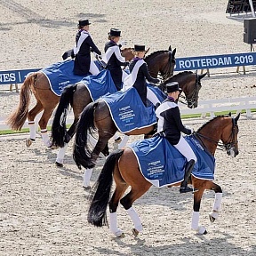 The German team won the gold of the European Dressage Championship for the 24th time