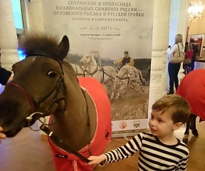 В Госдуме открылась выставка о проблемах коннозаводства