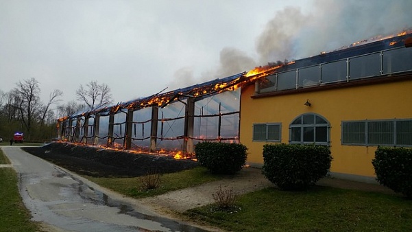 В Австрии сгорел конноспортивный центр конкуриста Герфрида Пука 