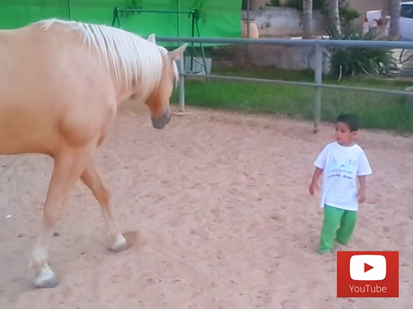 Мальчик с синдромом Уильямса впервые пообщался с лошадью