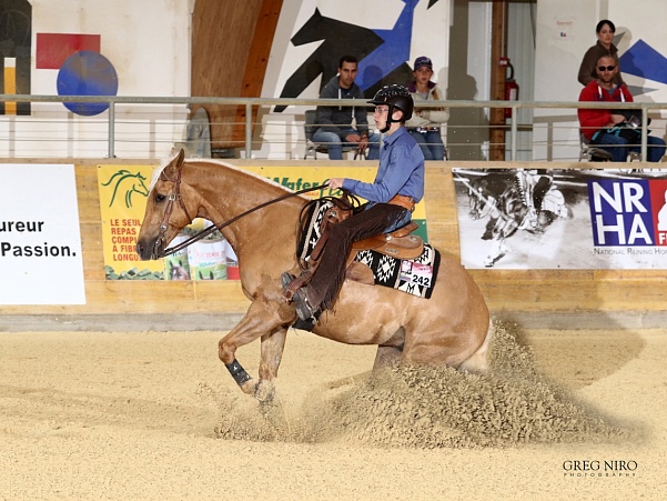 Международная федерация конного спорта утвердила новые чемпионаты для молодых всадников