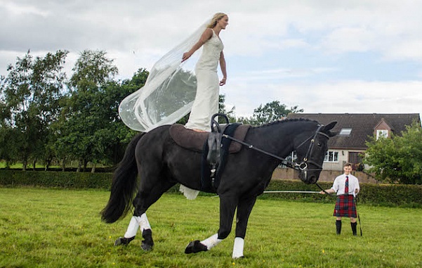 Свадьба на спине у лошади