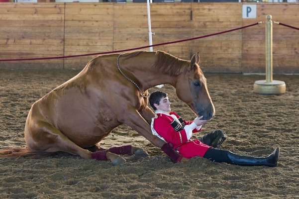 Skill of fancy riding that inspires children to do sports