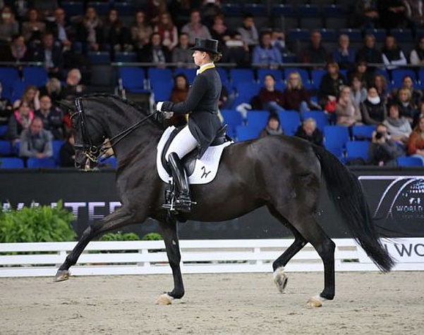 Лошадь Изабель Верт выступит с ней на Олимпиаде 2020