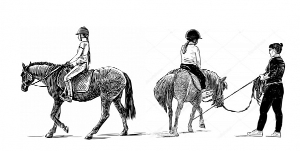 Министерство спорта РФ утвердило типовую программу по конному спорту для этапа начальной подготовки