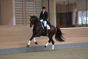 Zack Proclaimed Danish Stallion of the Year 2014