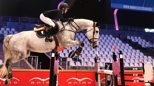 Новая лошадь в конюшнях бельгийского конкуриста Грегори Ватлета