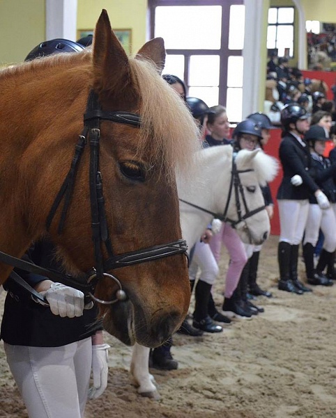 КСК «Измайлово» провел Всероссийские соревнования по выездке на пони