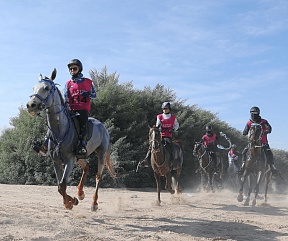 FEI приостанавливает членство Федерации конного спорта ОАЭ 