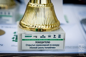 Итоги Открытых соревнования по конкуру «Конной школы horsetimes» Тобольск 2019