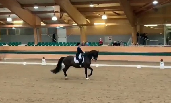 Елена Сиднева выиграла Большой приз в Австрии на новой лошади