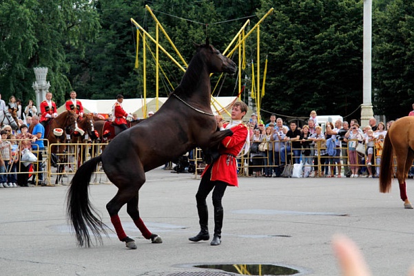 На ВДНХ проходит праздник конного спорта