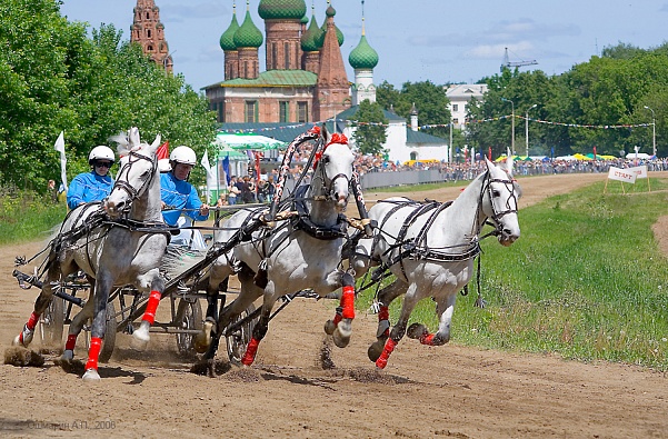 В Нижнем Новгороде пройдет конный фестиваль 