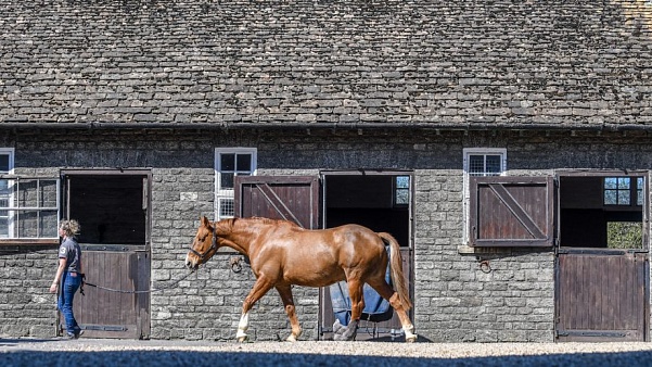 Всадники Великобритании вновь могут начать заниматься конным спортом