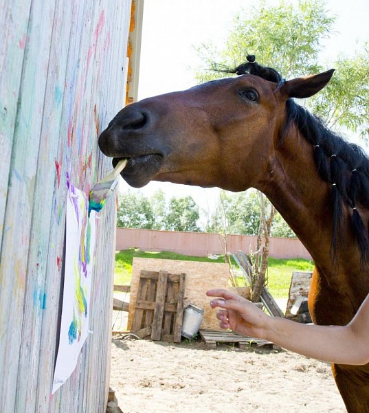 В Сургуте живет конь-художник