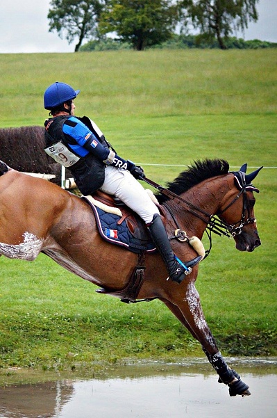 Bramham International Horse Trials отменен