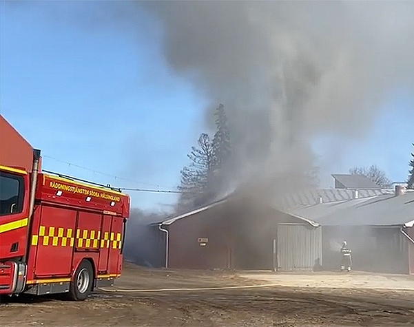 Пожар уничтожил конюшню в шведском центре верховой езды Бергакра
