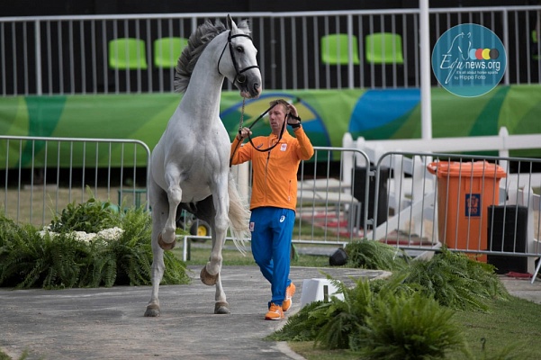 Команда Нидерландов по конкуру будет сражаться за медали без Жура Врайлинга