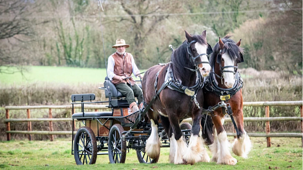 Фермер и две лошади отправляются в 600-мильное благотворительное путешествие 