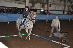 В Красноярске завершились соревнования по адаптивному конному спорту