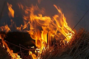 Пожар уничтожил часть сена в Gestüt Lewitz Пауля Шокемёле