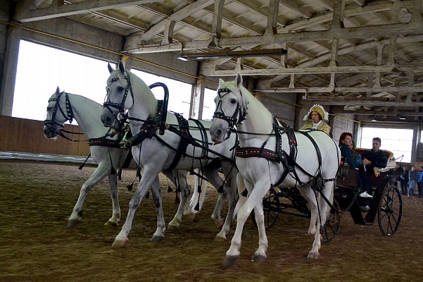 A russian trio of the National Equestrian Park Rus graced the celebration in Bryansk region