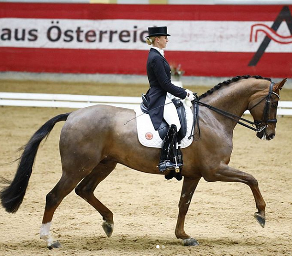 Джессика фон Бредоу-Верндль дебютировала с двумя новыми лошадьми