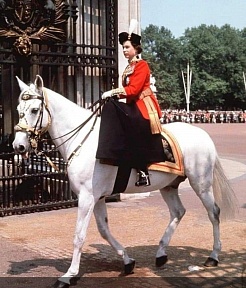 Британская королева Елизавета II умерла в возрасте 96 лет