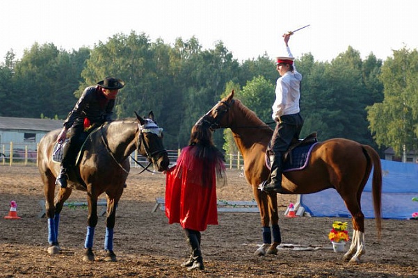 День лошади в Ярославле отметили иппоспектаклем