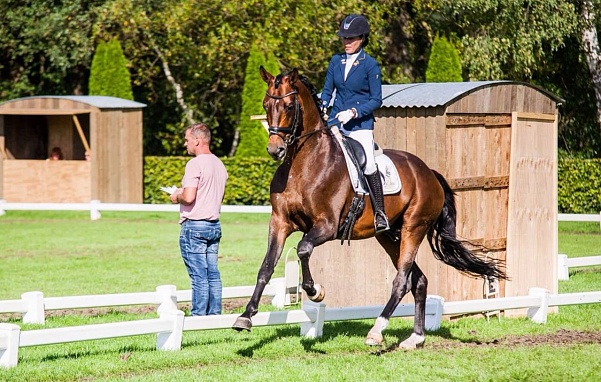 Жеребец Самарского конного завода попал в призы на турнире по выездке в Голландии